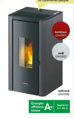 BayWa Pelletofen Indigo Angebot