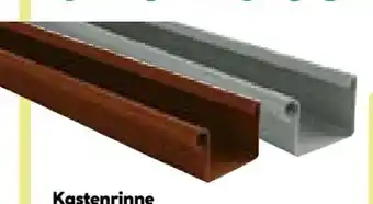 BayWa Marley Kastenrinne Angebot