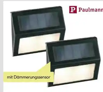 BayWa Paulmann Solar-Stufenlicht Angebot