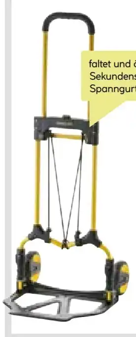 BayWa Stanley Transportkarre FT580 Angebot
