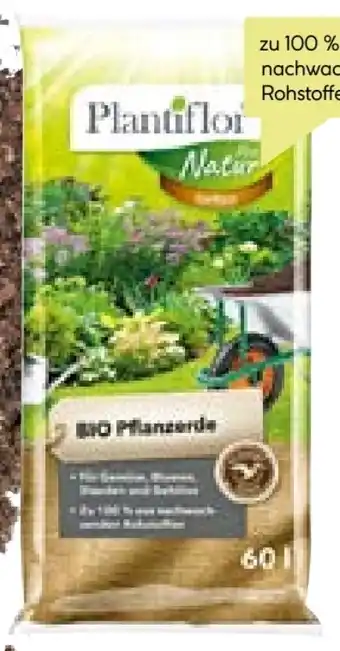 BayWa Plantiflor Bio Pflanzerde Angebot