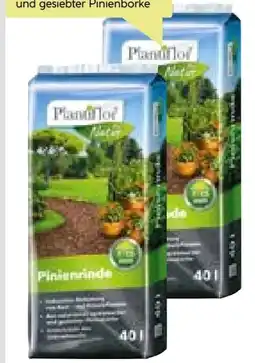 BayWa Plantiflor Pinienrinde Angebot