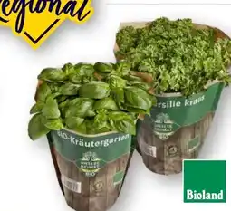 Edeka Unsere Heimat Echt & Gut Bio-Basilikum Angebot