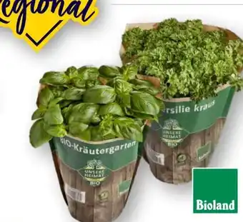 Edeka Unsere Heimat Echt & Gut Bio-Basilikum Angebot