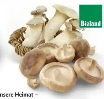 Edeka Unsere Heimat Echt & Gut Bio Shii Take Angebot
