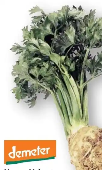 Edeka Unsere Heimat Echt & Gut Bio-Knollensellerie Angebot