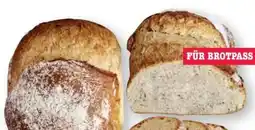 Scheck-in-Center Edeka Bäckerei Gründerbrot Dinkel Angebot