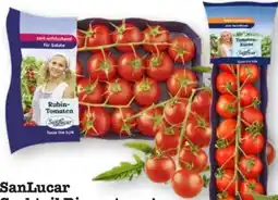 Scheck-in-Center SanLucar Cocktail-Rispentomaten Rubin Angebot