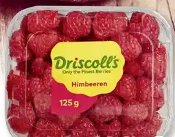 Scheck-in-Center Driscoll's Himbeeren Angebot
