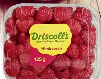 Scheck-in-Center Driscoll's Himbeeren Angebot