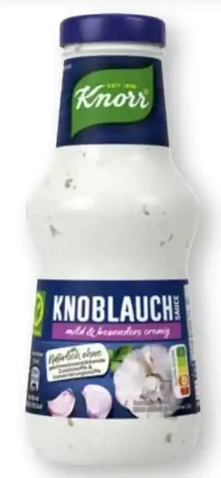 Scheck-in-Center Knorr Schlemmersauce Angebot
