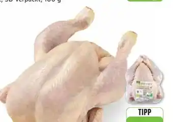 Edeka Edeka Bio Hähnchen Angebot