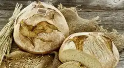 Edeka Bio Dinkelbrot Angebot