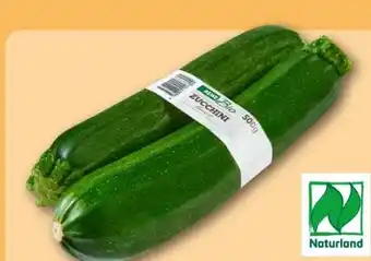 REWE Center Rewe Bio Bio-Zucchini Angebot