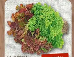 nahkauf Wurzelsalat Salattrio Angebot
