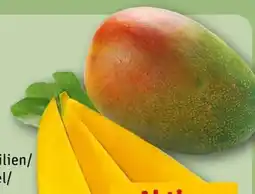 REWE Center Mango Angebot