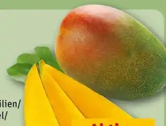 REWE Center Mango Angebot