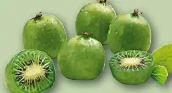 REWE Center Kiwibeeren Angebot