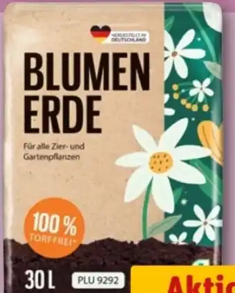 REWE Center Blumenerde Angebot