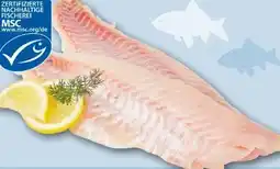 REWE Center Rotbarsch-Filet Angebot