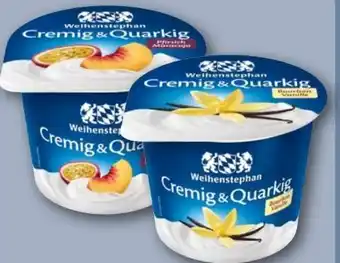 REWE Center Weihenstephan Cremig & Quarkig Angebot