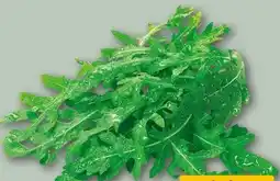 REWE Center Rucola Angebot