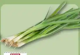 REWE Rewe Regional Lauchzwiebeln Angebot