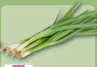 REWE Rewe Regional Lauchzwiebeln Angebot