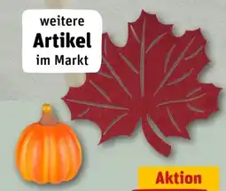 REWE Center Herbstdekoration Angebot