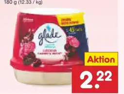 Netto Marken-Discount Glade (by Brise) Badezimmer Duftgel Angebot