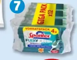 PENNY Spontex Küchenschwamm Angebot