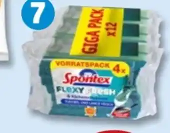 PENNY Spontex Küchenschwamm Angebot