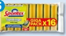 PENNY Spontex Topfreiniger Angebot