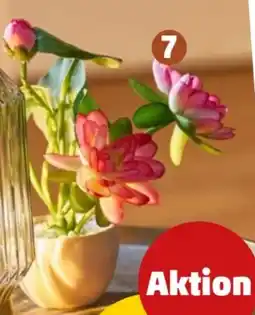 PENNY Deko-Blume Angebot