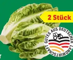 Lidl Mini Romana Angebot