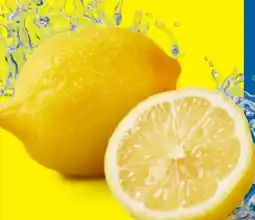 Lidl Bio-Zitronen Angebot