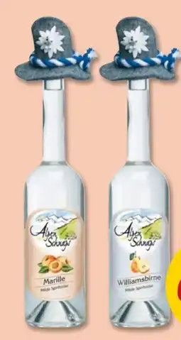 PENNY Alpenschnaps Marille Angebot
