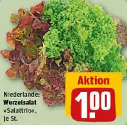 REWE Wurzelsalat Angebot