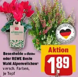 REWE Besenheide duon oder REWE Beste Wahl Alpenveilchen Angebot