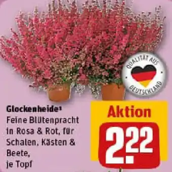 REWE Glockenheide Angebot