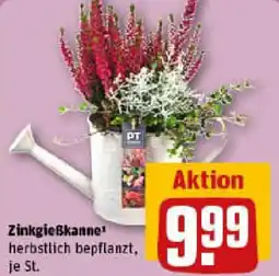 REWE Zinkgießkanne Angebot