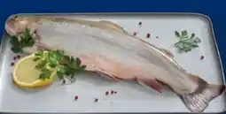 Lidl Seesaibling Angebot