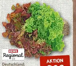 nahkauf Rewe Regional Wurzelsalat Salattrio Angebot