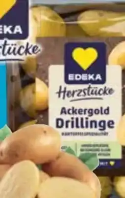 E-Center Edeka Herzstücke Speisekartoffeln Ackergold Drillinge Angebot