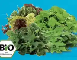 E-Center Bio-Rucola Angebot