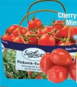 E-Center SanLucar Cherry-Rispentomaten Angebot