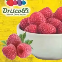 E-Center Driscoll's Himbeeren Angebot