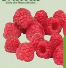 Edeka Xpress Driscoll's Himbeeren Angebot