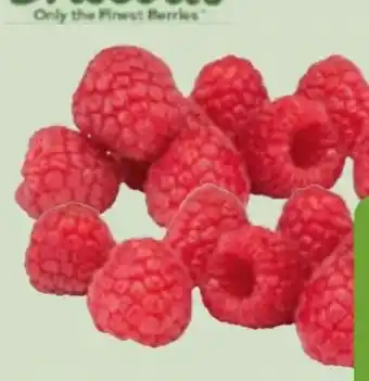Edeka Xpress Driscoll's Himbeeren Angebot