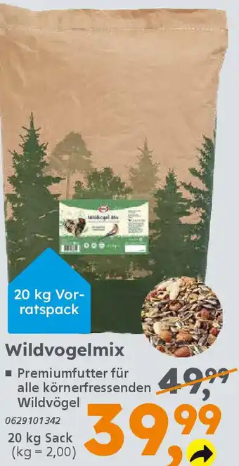 Globus Baumarkt elles Wildvogelmix Angebot